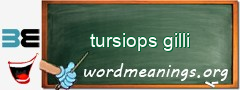 WordMeaning blackboard for tursiops gilli